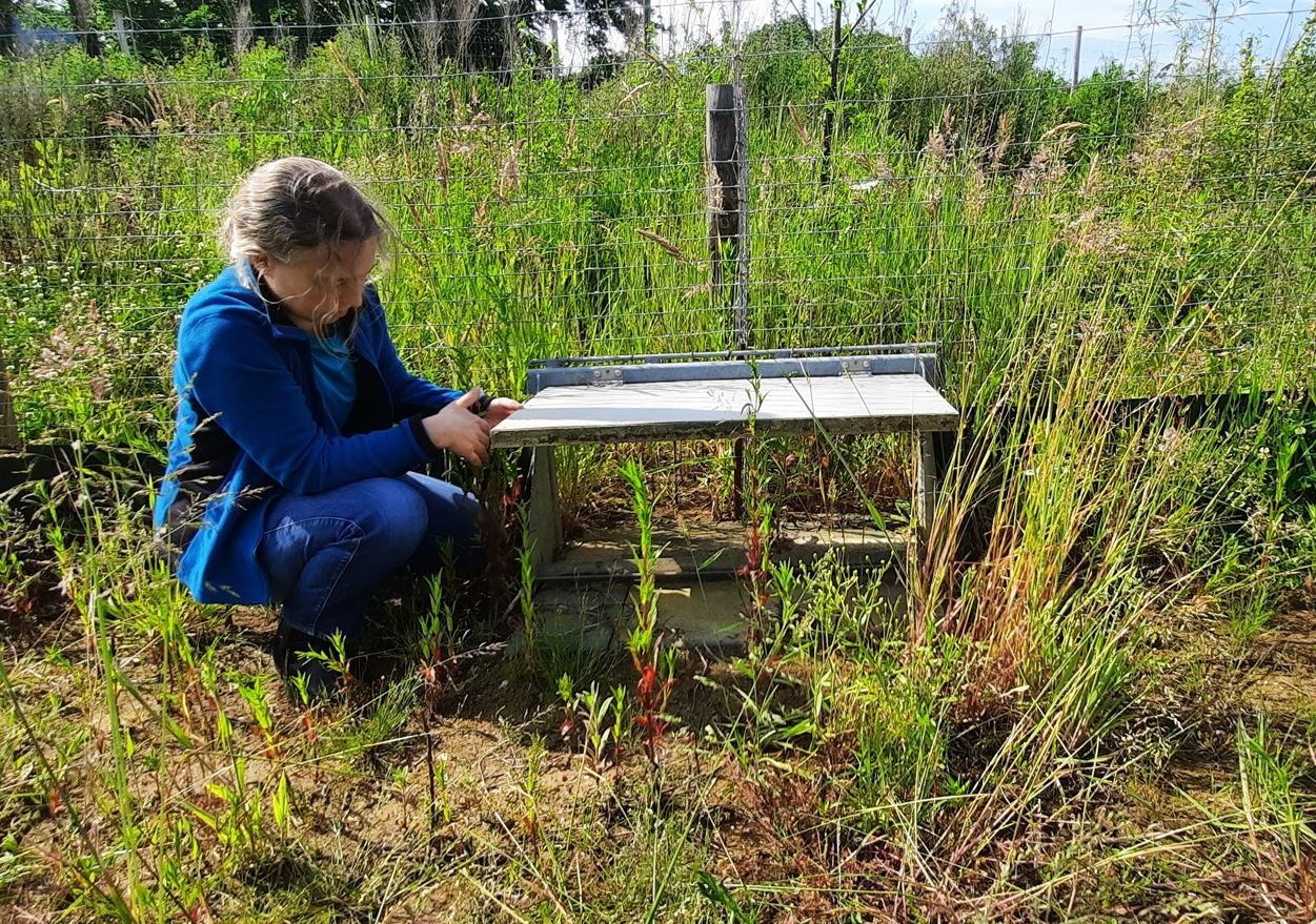 Persoon zit gehurkt in het groen, voor een afrastering. In de afrastering zit een laag poortje. De persoon tilt het poortje open.