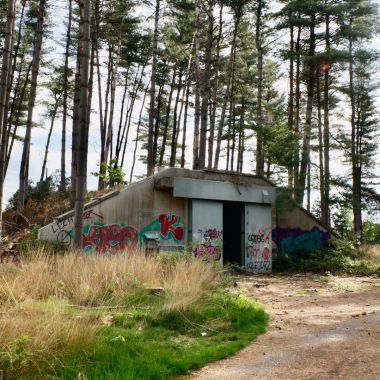 Foto van verlaten bunker op het militair domein van Arendonk