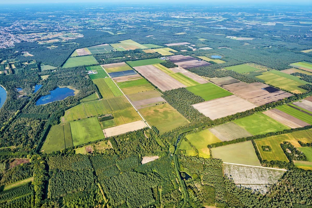 Luchtfoto met zowel beboste zones als landbouwpercelen. In de verte is ook bebouwing zichtbaar. 