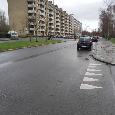 Straat met groene middenberm en aan de overzijde een groot appartementsgebouw. Langs de kant van de rijweg staan enkele wagens geparkeerd. 