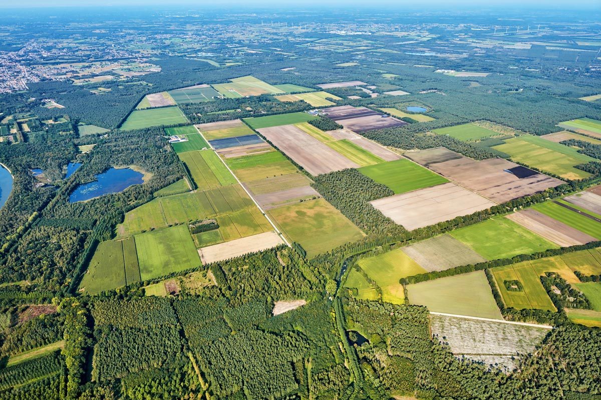 Luchtfoto met zowel beboste zones als landbouwpercelen. In de verte is ook bebouwing zichtbaar.