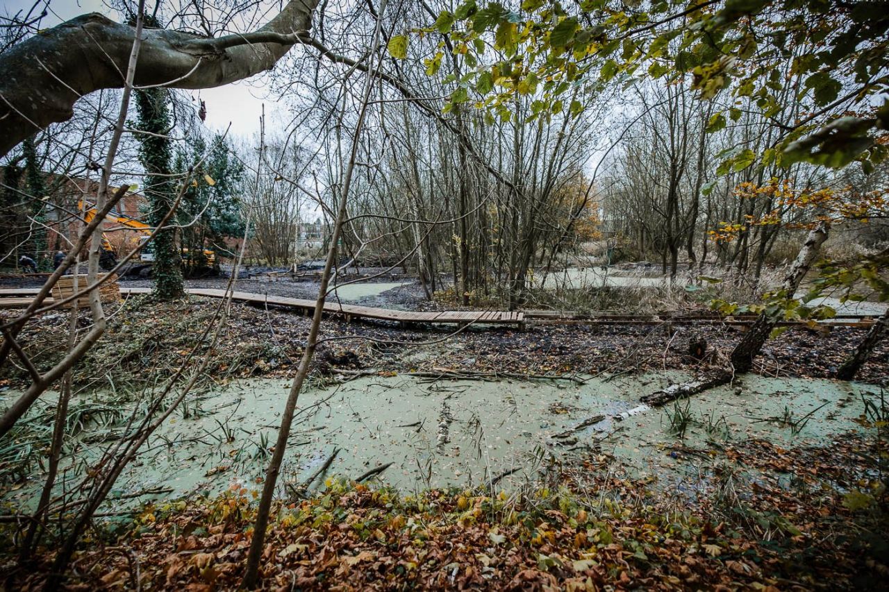 Een winterse natuuromgeving met meerdere grote waterplassen. Centraal loopt een vlonderpad in opbouw tussen de bomen en plassen door.