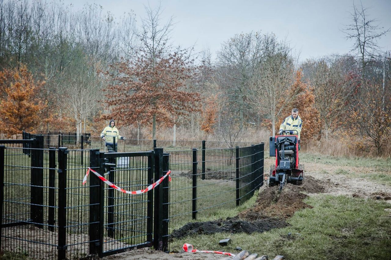 Een zwarte omheining van een kleine meter hoog staat in het gras. Net buiten de omheining trekt een arbeider op een kleine graafmachine een sleuf in de aarde. Op de achtergrond staan allemaal bomen in winterdracht.