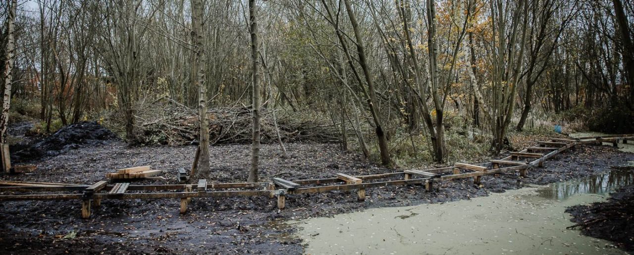 Een winterse natuuromgeving. Vooraan een grote waterplas, centraal loopt een vlonderpad in opbouw tussen de bomen en boven de modderige ondergrond.