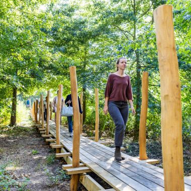 Mensen wandelen op een vlonderpad, omringd door groen.