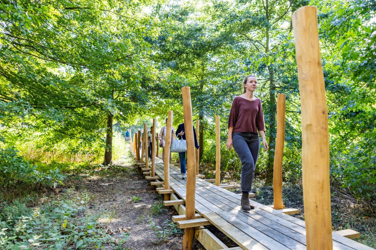 Mensen wandelen op een vlonderpad, omringd door groen.