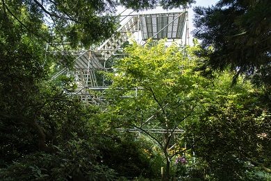 Doorkijk tussen bomen, struiken en groene borders naar een hoge stelling met uitkijkplatformen op de achtergrond, in Arboretum Kalmthout.