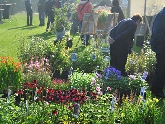 sfeerbeeld plantenverkoop tijdens een zonnige plantendag najaar in Arboretum Kalmthout