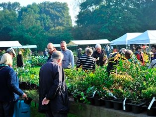 Verschillende bezoekers bekijken een plantenselectie op een verhoogde lange tafel tijdens een drukke plantendag najaar in Arboretum Kalmthout, op de achtergrond een tiental kraampjes met witte daken.