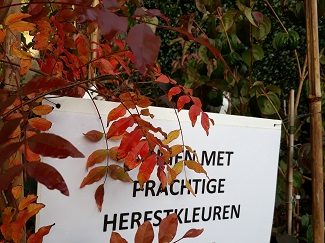 Aankondiging voor planten met prachtige herfstkleuren in het plantencentrum van Arboretum Kalmthout, bord bevestigd aan planten in pot met rode bladkleur.