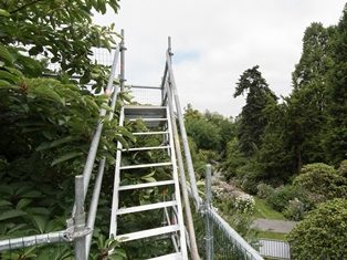 Zicht van op een 6-meter hoge stelling langs een bomenkruin, op de achtergrond bomen en struiken langs een verhard pad in Arboretum Kalmthout.