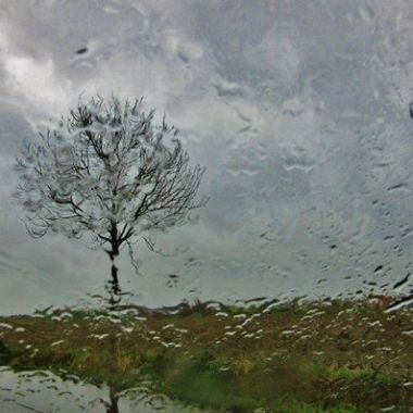 Stormweer