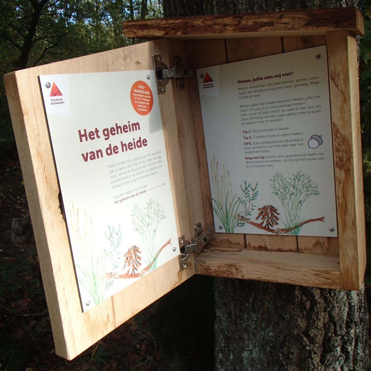 ZelfDoeWandeling Kesselse heide