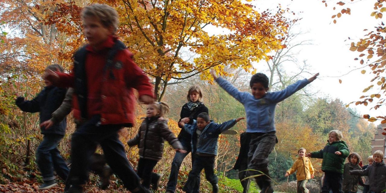 Spelende kinderen in het bos