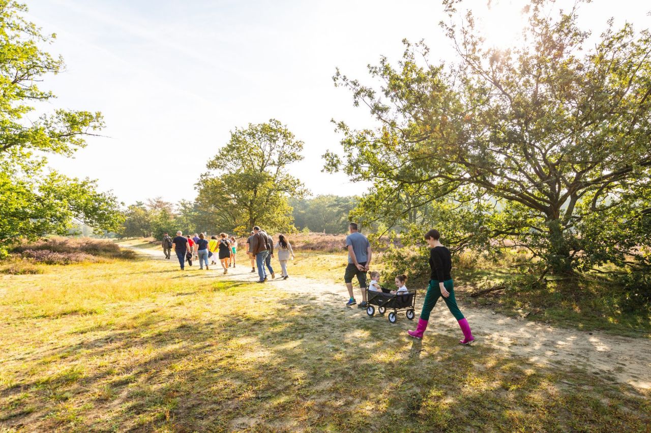 Groep wandelt op de Kesselse Heide