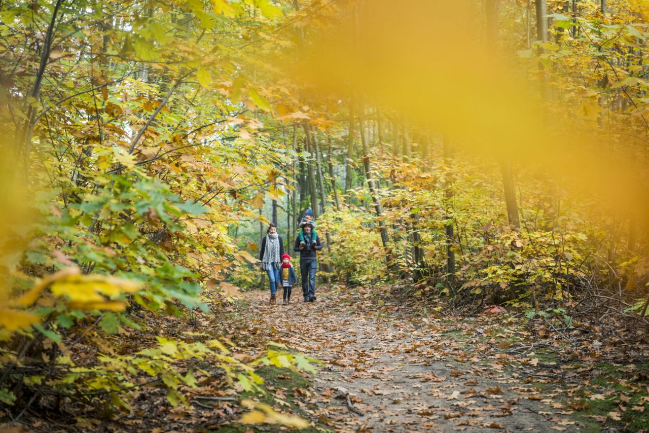 Herfstwandeling