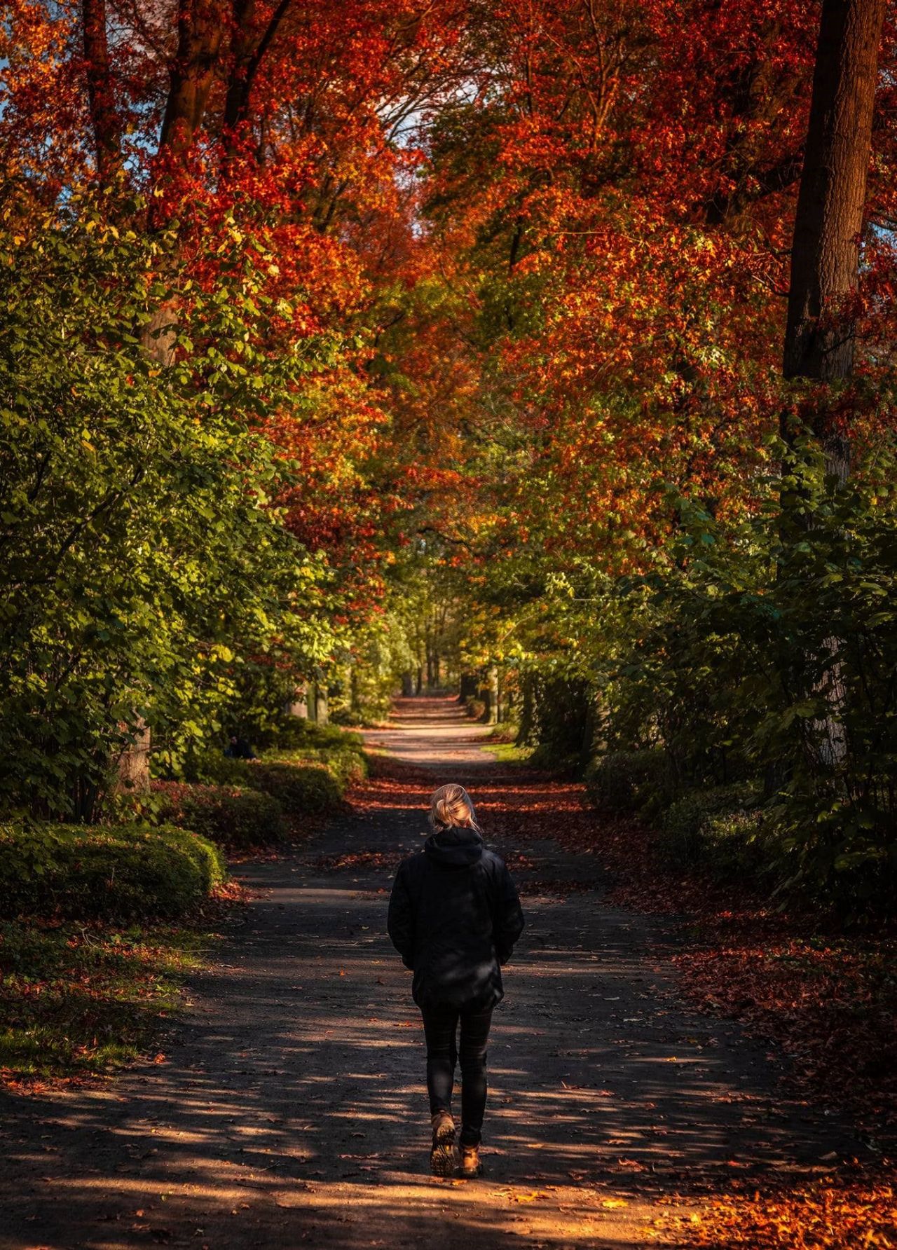 Herfst Rivierenhof