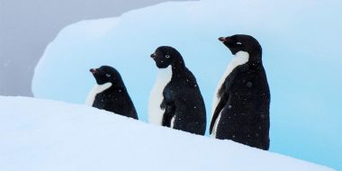 Antarctic van Christian Clauwers