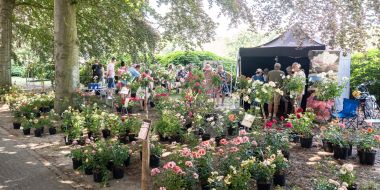 Rozenfeest Rivierenhof