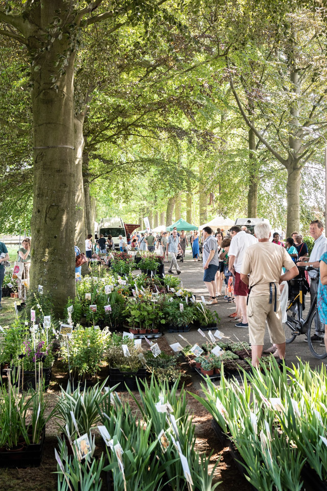 Rozenfeest Rivierenhof