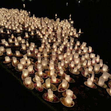 Shine a light Rivierenhof