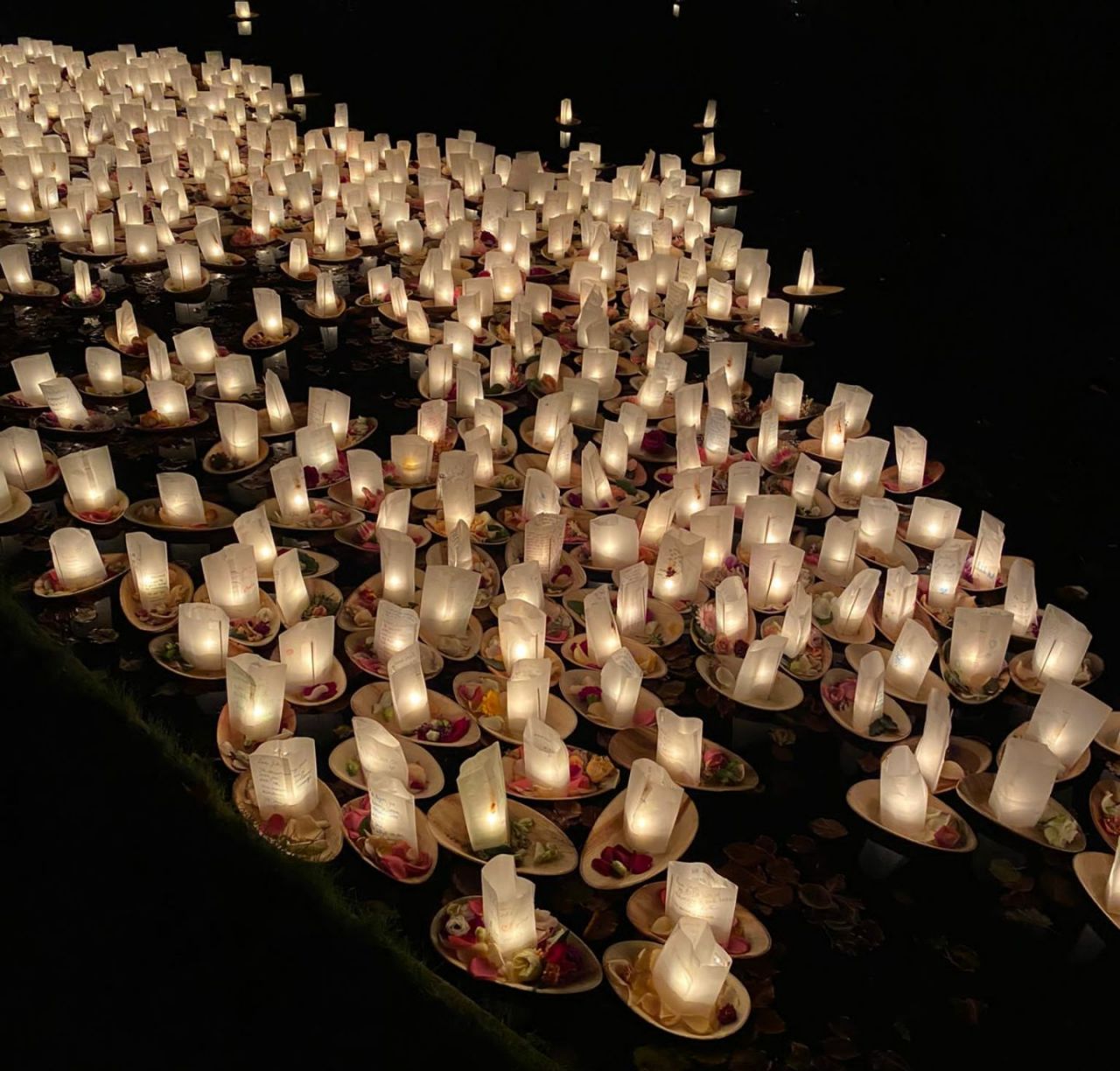 Shine a light Rivierenhof