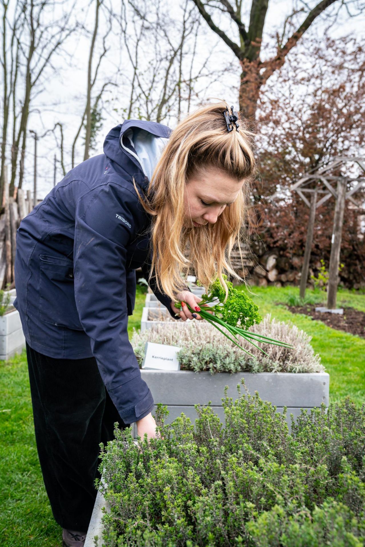 Oogsten Kinderboerderij Rivierenhof
