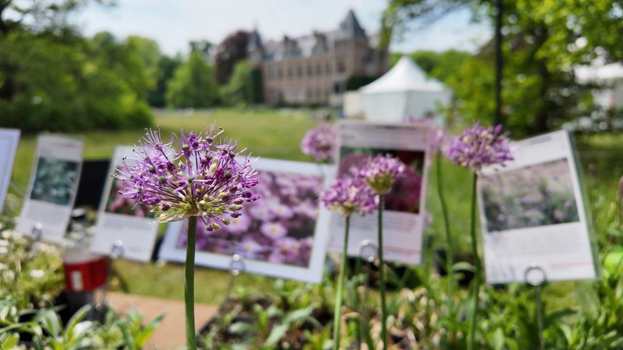 Tuinkriebels 2025