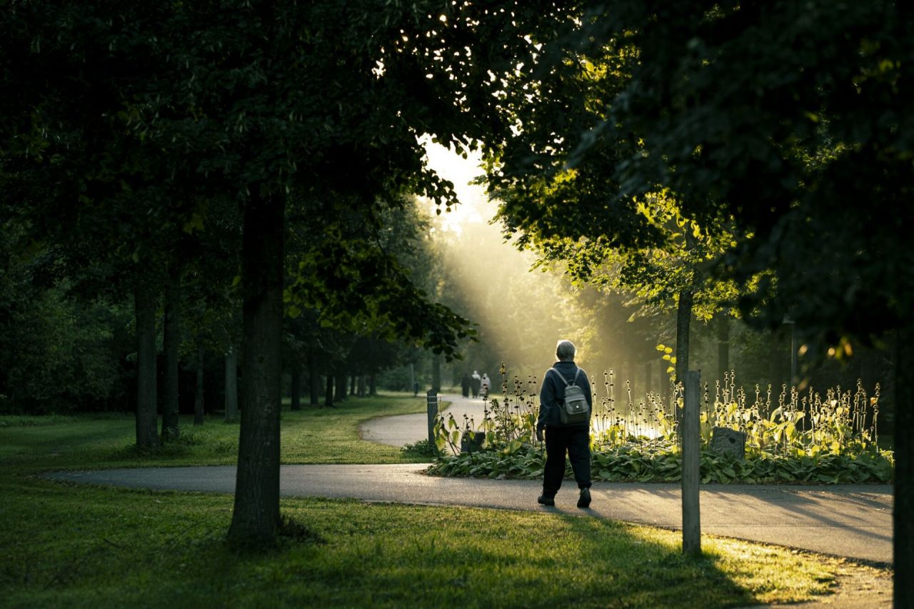 Rivierenhof getooid met een gouden licht