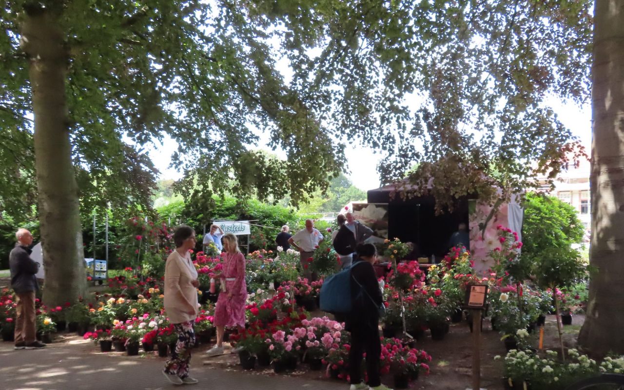 Rozenvrienden_Rozenfeest_Rivierenhof