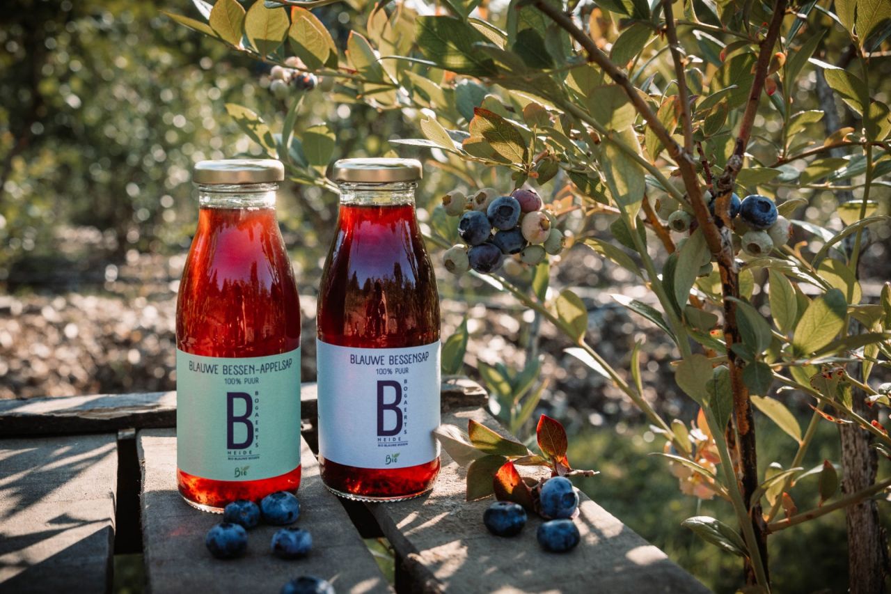 Bogaertsheide blauwe bessen_Tuinkriebels_Vrieselhof