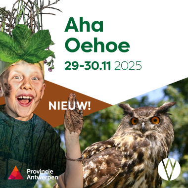 Natuurworkshops oehoe