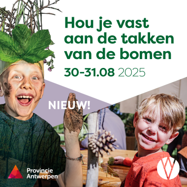 natuurworkshops hou je vast aan de takken van de bomen