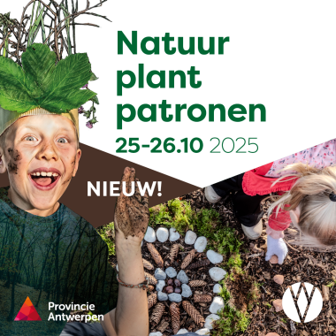 natuurworkshops natuur plant patronen