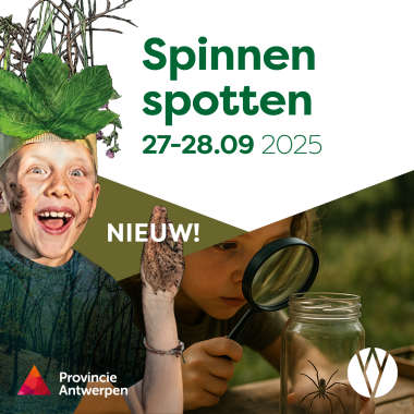 natuurworkshops spinnen spotten