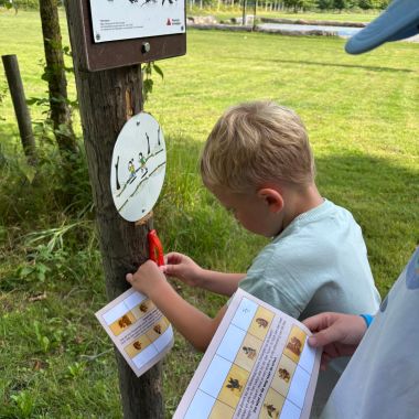 Kinderen die schat van vlieg zoeken