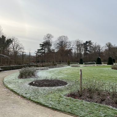 Winterwandeling Vrijbroek - bevrozen rozentuin