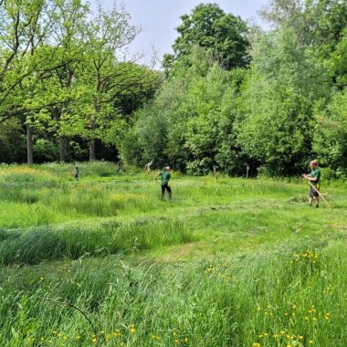 zeisen in het Vrijbroekpark