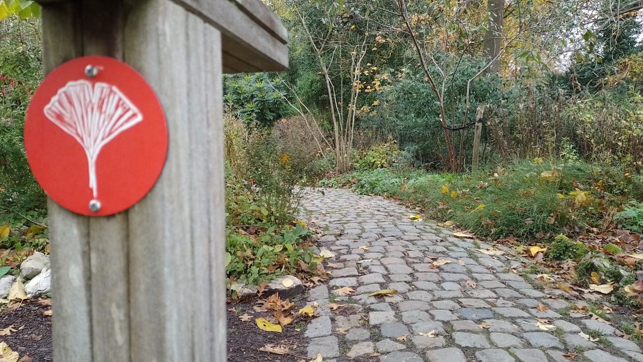 Bosbaden