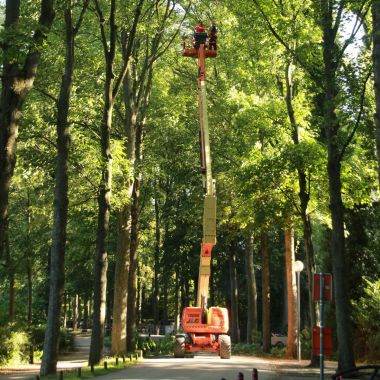 hoogtewerker Vrijbroekpark