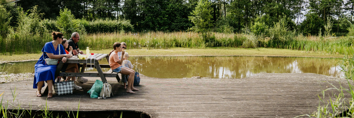 2025_jaaroverzicht header - 2