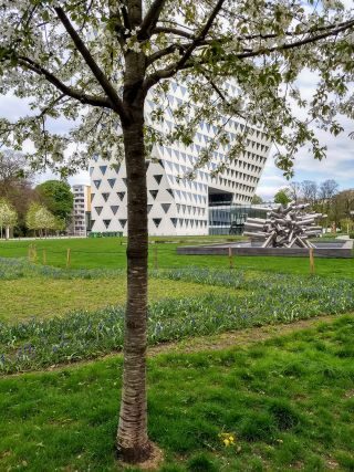 tuin provinciehuis - lente 2024