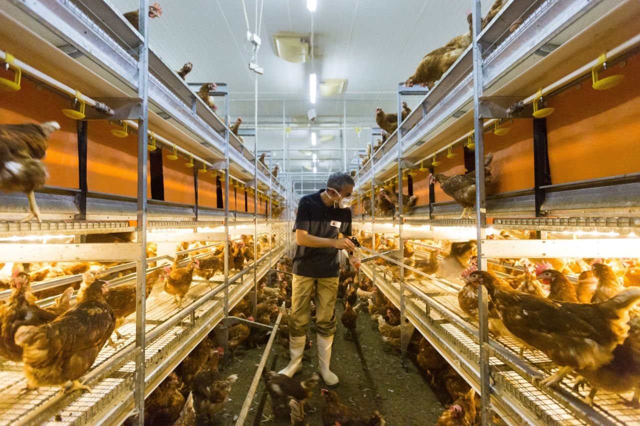 Arbeidsomstandigheden