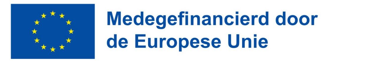 Medegefinancierd door de Europese Unie - logo Vlaanderen en Europa