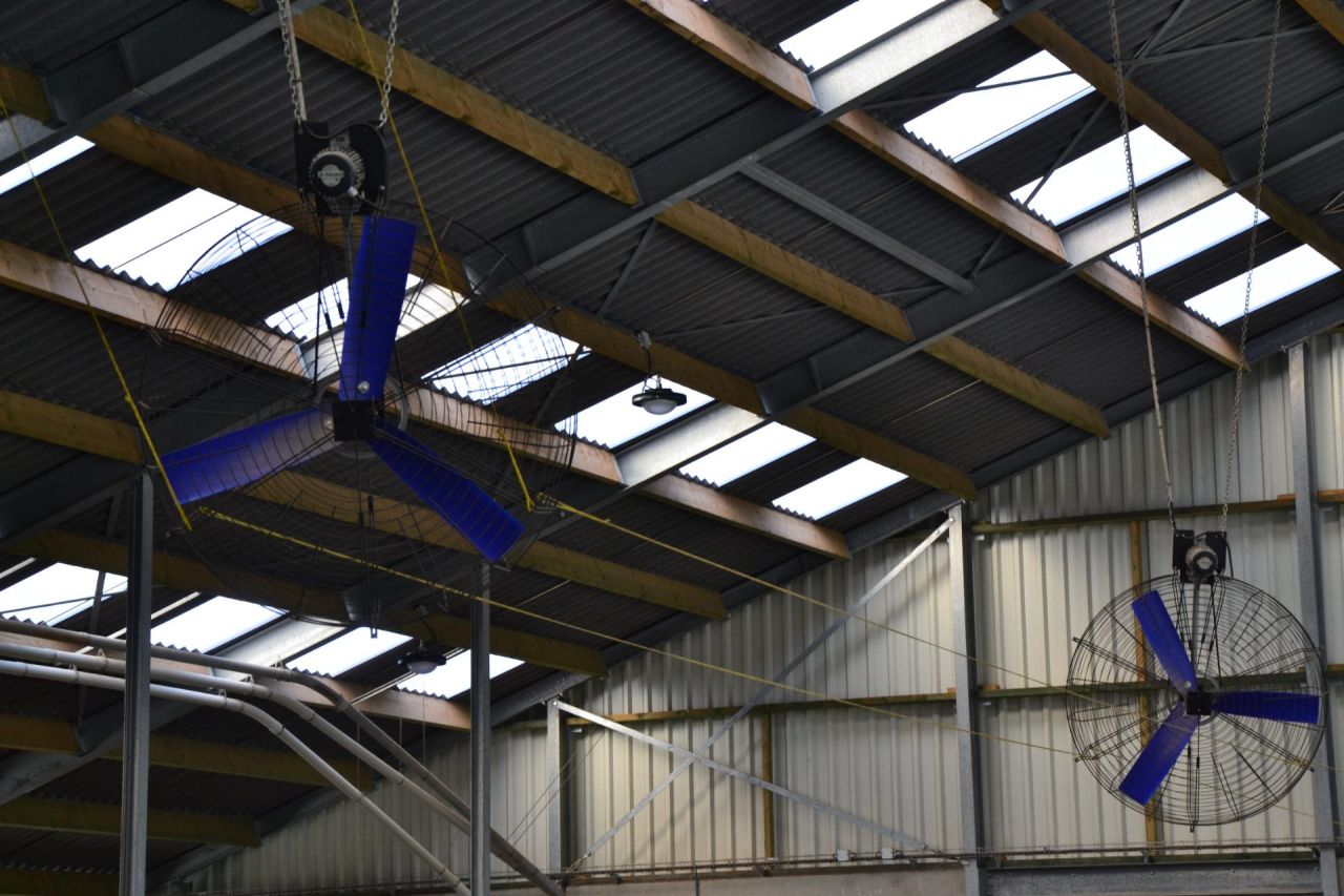 Ventilatoren melkveestal