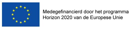 Logo NEFERTITI