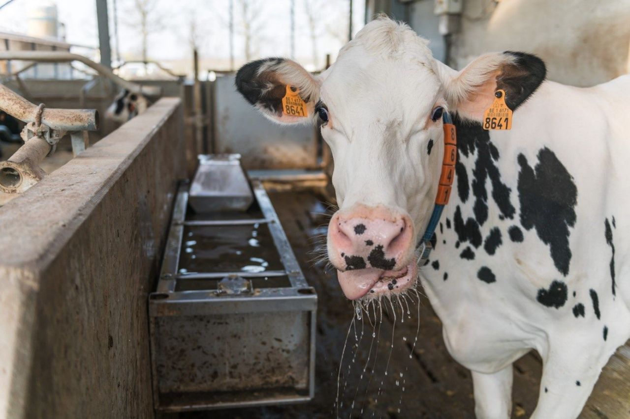 Waterkwaliteitsgroepen_1