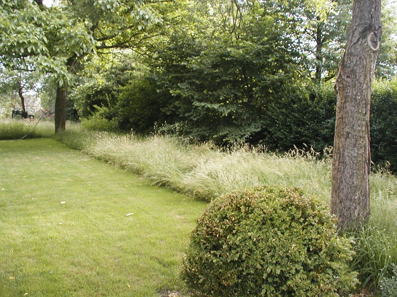 Natuurlijk tuinieren