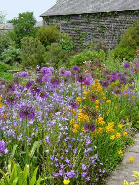 Kleurrijke tuin