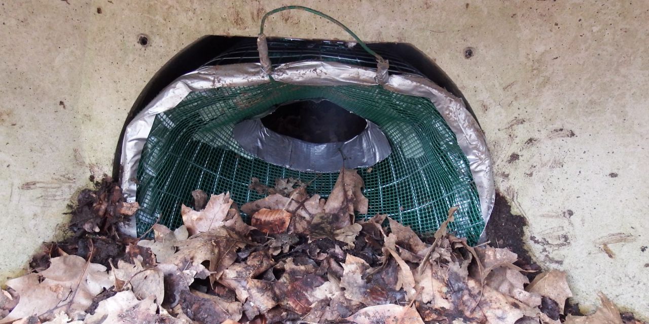 Amfibieëntunnelfuik trechteringang